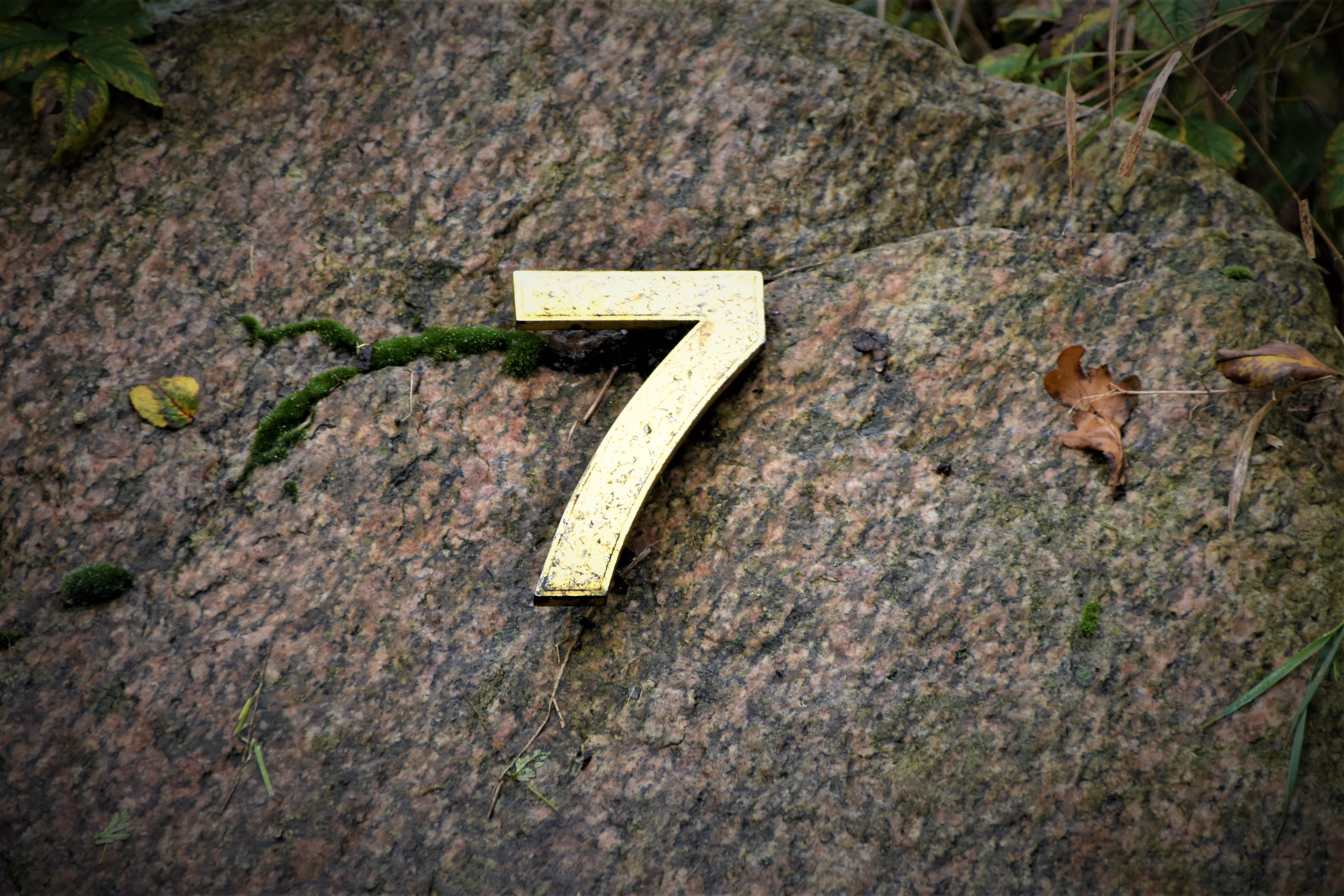 waldemar-brandt-kt0QS0FPyCc-unsplash