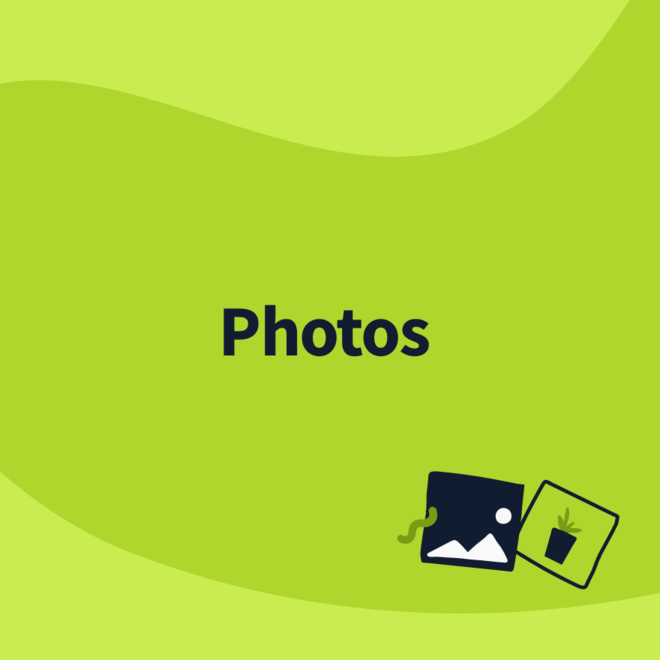 photos