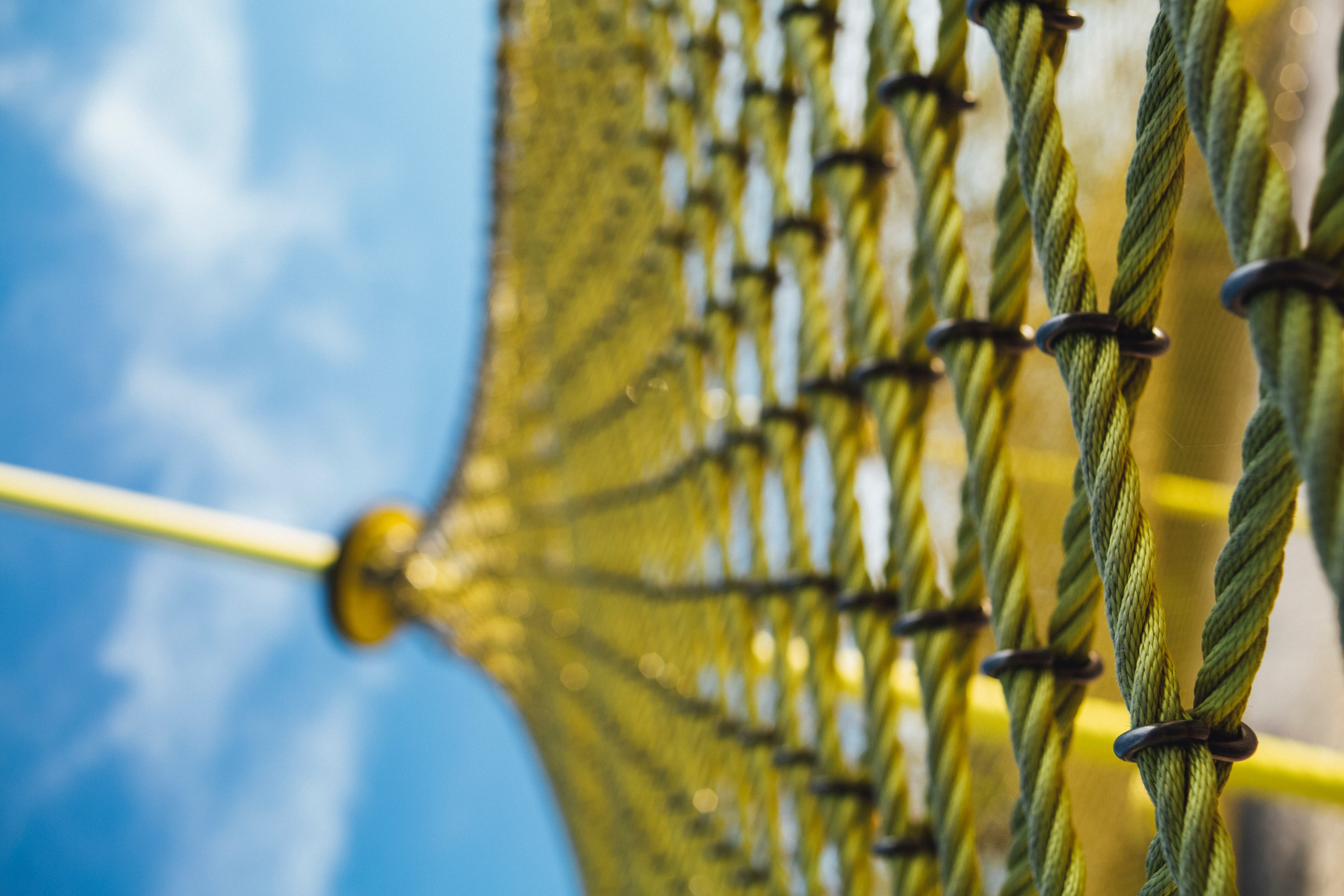 markus-spiske-bqCVSFJ5uNA-unsplash-1-1